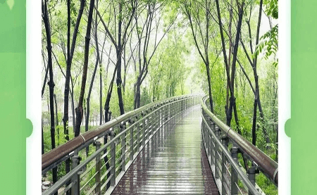 不可辜負(fù)的美，與春天有個(gè)約會(huì)